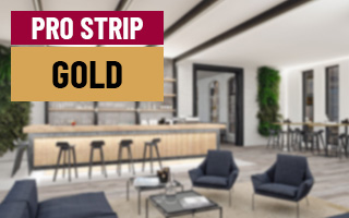 Paulmann Pro Strip Gold Line