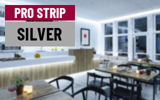 Paulmann Pro Strip Silver Line