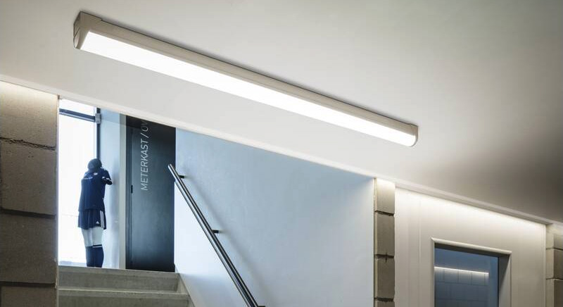 LED-Leuchtstoffröhren für eine Grundbeleuchtung im Keller