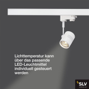 3-Phasen Schienen-Strahler BIMA I mattweiss einflammig GU10 QPAR51 max. 50W inkl. 3P.-Adapter