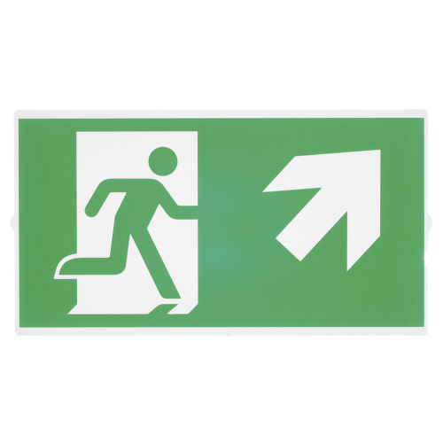 SLV P-LIGHT Emergency Series Stair Signs for Exit Wall, Ceiling, Pendant, small, green