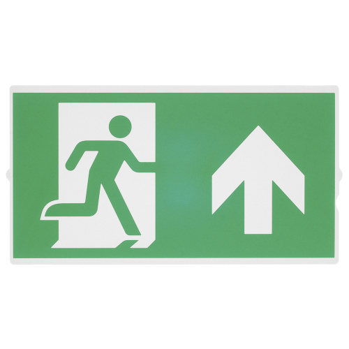 SLV P-LIGHT Emergency Series Stair Signs for Exit Wall, Ceiling, Pendant, small, green