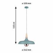 Pendelleuchte 1-flammig Neordic Juna E27 max. 20W Softgrün/Kupfer/Holz dimmbar Metall/Holz