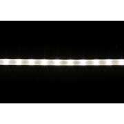 Strip Lite 36V, 20m, LED weiß
8 LED/0,20m, Schnittlänge: 0,20m, 162W