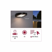 LED Solar Außenwandleuchte Ryse anthrazit mit Bewegungsmelder IP44 30lm 3000K