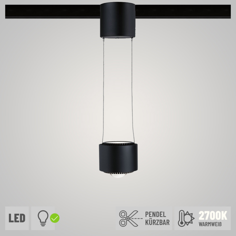 Schwarz LED Lampen1a (LED Paulmann matt | URail 2700K dimmbar Pendelleuchte 94972 85W Aldan