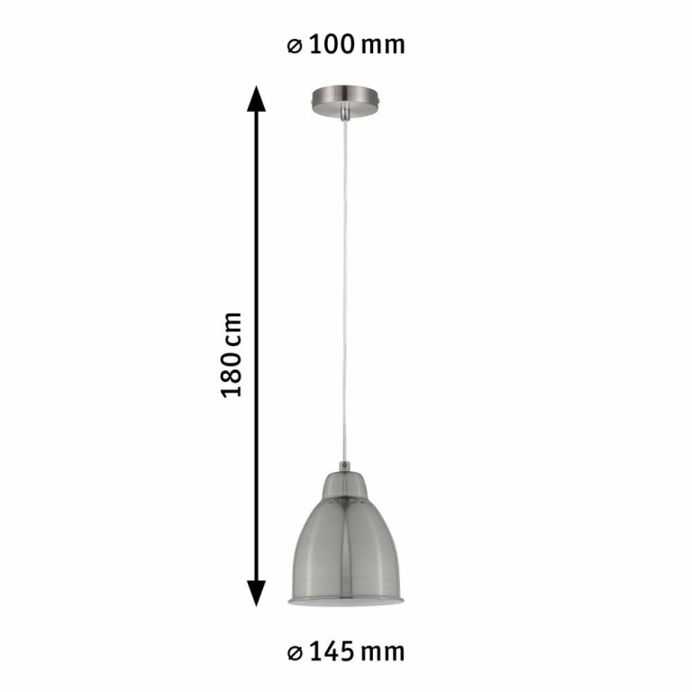 Paulmann Pendelleuchte Neordic Lavea 1-flammig Pflanzenleuchte Eisen gebürstet ohne Leuchtmittel max. 40W E27