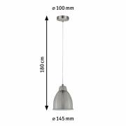 Pendelleuchte Neordic Lavea 1-flammig Pflanzenleuchte Eisen gebürstet ohne Leuchtmittel max. 40W E27