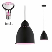 Pendelleuchte Bundle Neordic Hilla 1x 6,5 Watt E27