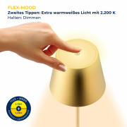 Sigor Nuindie Akku-Tischleuchte gold LED rund 380mm IP54 dimmbar Flex-Mood Easy-Connect