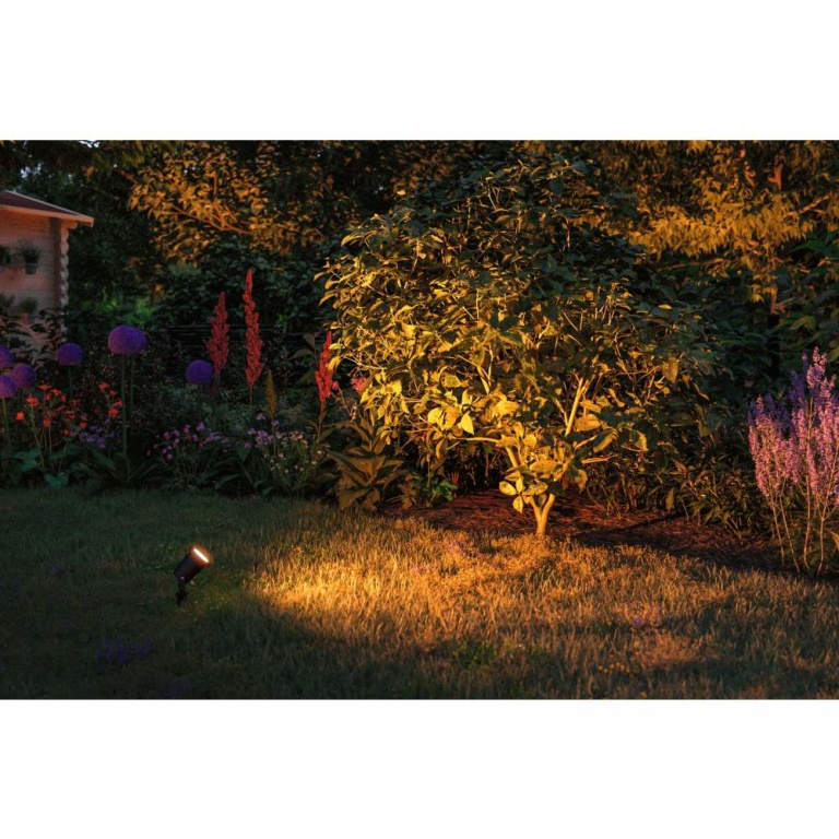 Paulmann LED Gartenstrahler Goldlicht insektenfreundlich IP65 rund 92mm 2200K 4,3W 320lm 230V  Schwarz Metall