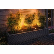 LED Reflektor Goldlicht insektenfreundlich GU10 230V 320lm 4,3W 2200K