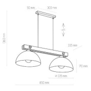 famlights | Pendelleuchte Michael in Schwarz E27 2-flammig