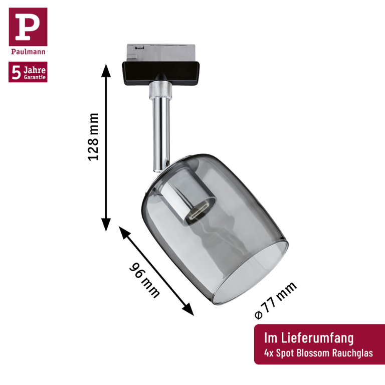 Paulmann URail LED Schienensystem Komplett-Set Blossom Schwarz matt + 4 Spots inkl. G9 Leuchtmittel