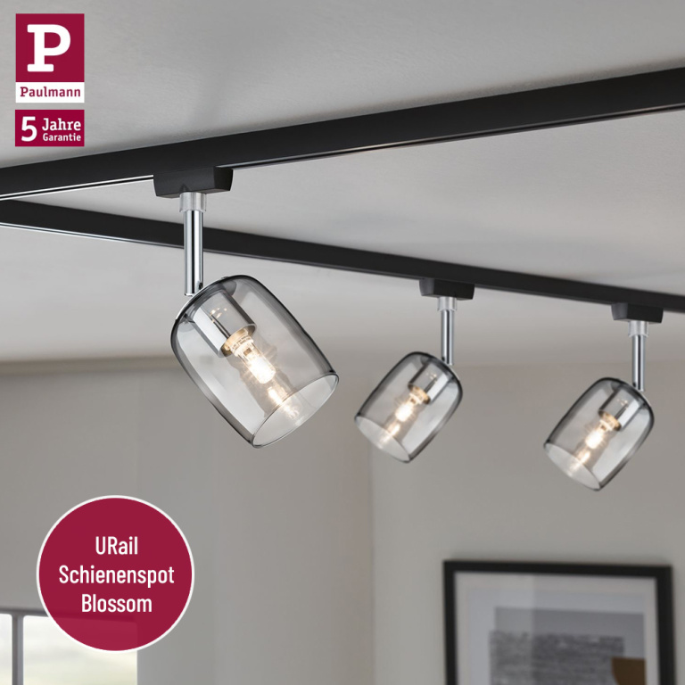 Paulmann URail LED Schienensystem Komplett-Set Blossom Schwarz matt + 4 Spots inkl. G9 Leuchtmittel