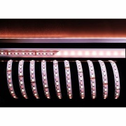 Stripe, Standard, SMD, 24V-14W, RGB/3000K, 5m, Spannungskonstant, 24 V/DC