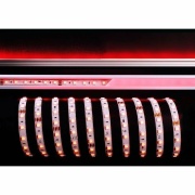 Stripe, Standard, SMD, 24V-13W, RGB, 5m, Spannungskonstant, 24 V/DC