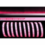 Stripe, Standard, SMD, 24V-13W, RGB, 5m, Silikon, Spannungskonstant, 24 V/DC