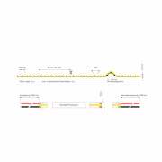 Stripe, Standard, COB, 24V-12W, 3000 K, 5m, Spannungskonstant, 24 V/DC