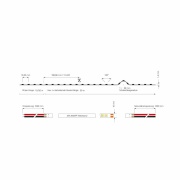 Stripe, Long Run, SMD, 48V-4W, 3000K, 15m, Spannungskonstant, 48 V/DC