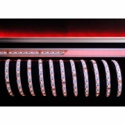 Stripe, Standard, SMD, 24V-16W, RGB/3000K, 50m, Spannungskonstant, 24 V/DC