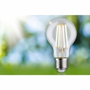 Eco-Line Filament 230V LED Birne E27 1er-Pack  525lm 2,5W 3000K  Klar