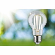 Eco-Line Filament 230V LED Birne E27 1er-Pack  840lm 4W 3000K  Klar