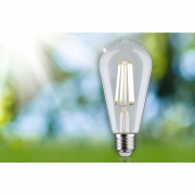 Eco-Line Filament 230V LED Kolben ST64 E27   840lm 4W 3000K  Klar