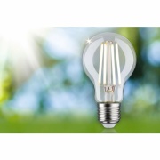 Eco-Line Filament 230V LED Birne E27 1er-Pack  525lm 2,5W 4000K  Klar