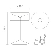 Akku-Glasleuchte Numotion 265 mm schneeweiß 2,2W FlexMood 2200K/2700K IP54 171lm Ra85