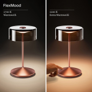 Akku-Glasleuchte Numotion 265 mm rosegold 2,2W FlexMood 2200K/2700K IP54 171lm