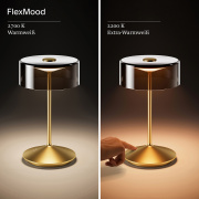 Akku-Glasleuchte Numotion 265 mm goldfarben 2,2W FlexMood 2200K/2700K IP54 171lm