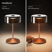 Akku-Glasleuchte Numotion 265 mm bronzefarben 2,2W FlexMood 2200K/2700K IP54 171lm