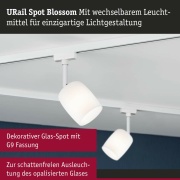 URail Schienenspot Blossom  G9  max. 10W  dimmbar 230V Signalweiß