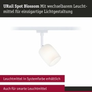 URail Schienenspot Blossom  G9  max. 10W  dimmbar 230V Signalweiß