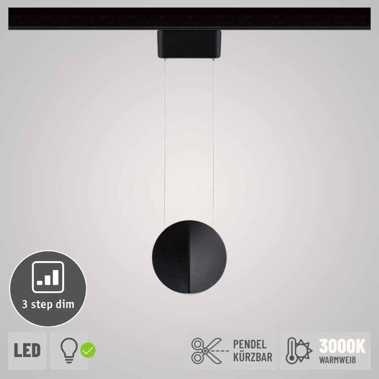 Paulmann URail LED-Pendelleuchte Alejandro 10W 800lm 3000K 3-Step-Dim dimmbar Schwarz matt (LED fest verbaut)