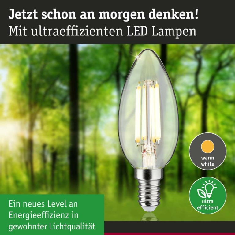 Paulmann Eco-Line Filament 230V LED Kerze E14 1er-Set  98mm 525lm 2,5W 3000K  Klar