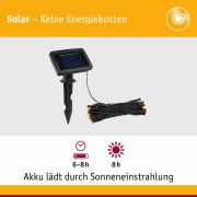 Solar LED-Lichterkette Aurinka 7,9 m IP44 3000K Schwarz