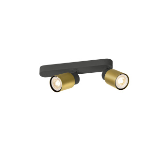 SLV PURI 2.0 Tube, Wand- und Deckenaufbauleuchte, asymmetrisch, 2 x max. 6W GU10, schwarz / gold