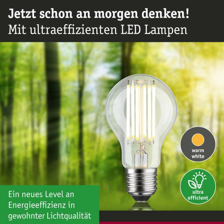 Paulmann Eco-Line Filament 230V LED Birne E27 1er-Set  1055lm 5W 3000K  Klar