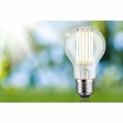 Eco-Line Filament 230V LED Birne E27 1er-Set  1055lm 5W 3000K  Klar