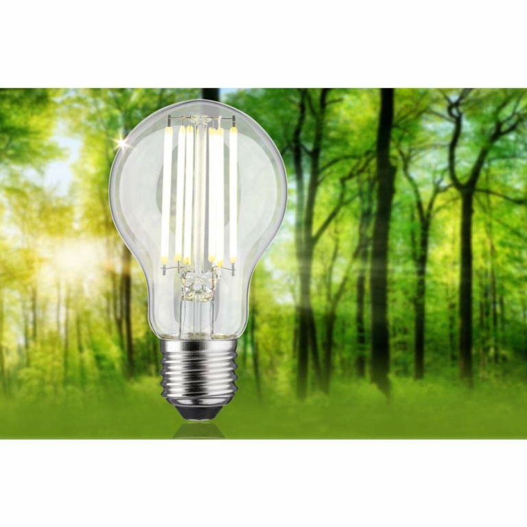 Paulmann Eco-Line Filament 230V LED Birne E27 1er-Set  1055lm 5W 4000K  Klar