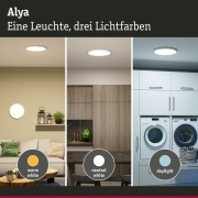 LED Panel Alya Weiß rund 400mm 35W 3400lm White-Select 3000K / 4000K / 6500K