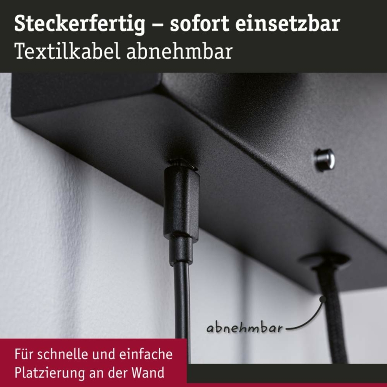 Paulmann LED Wandleuchte Leselampe Jerik Schwarz matt USB-C 3000K 160lm 3-Step-Dim mit Euroflachstecker schwenkbarer Leuchtenkopf