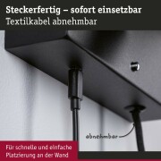 LED Wandleuchte Leselampe Jerik Schwarz matt USB-C 3000K 160lm 3-Step-Dim mit Euroflachstecker schwenkbarer Leuchtenkopf